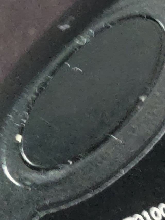 Maus hüpft