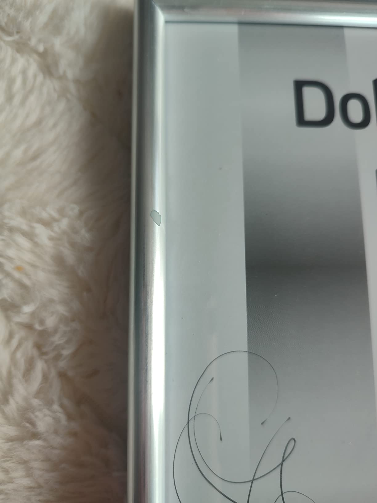 Perfekt für Hochzeitsfotos