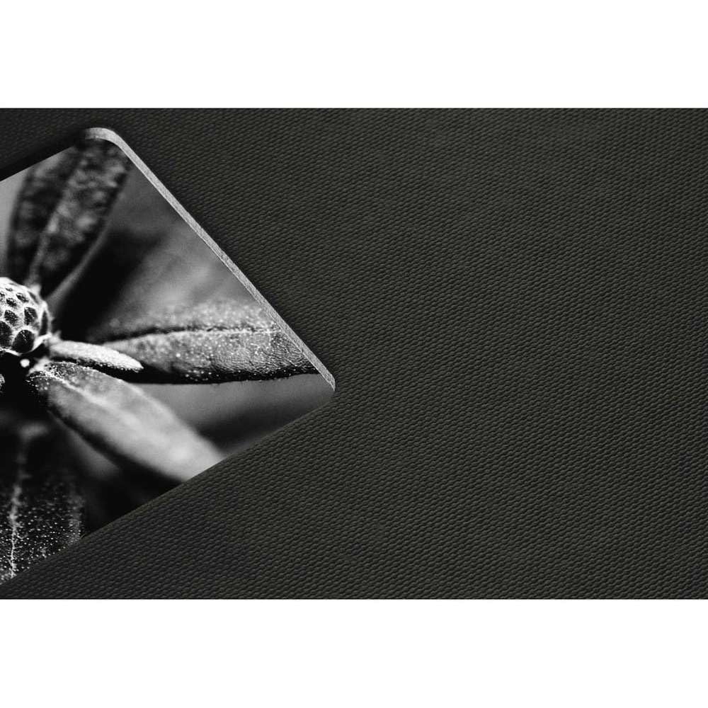 hama-fotoalbum-24x17-cm-spiralalbum-mit-50-schwarzen-seiten-pergamin-trennbl-tte image 5