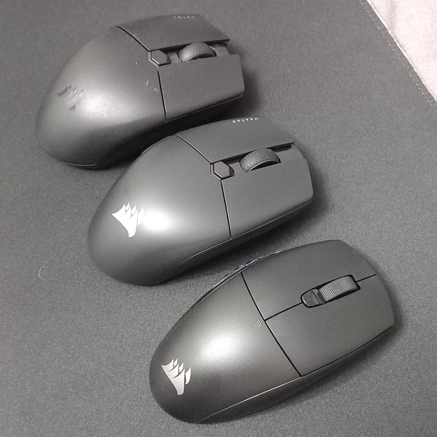Beste Maus, die ich je hatte