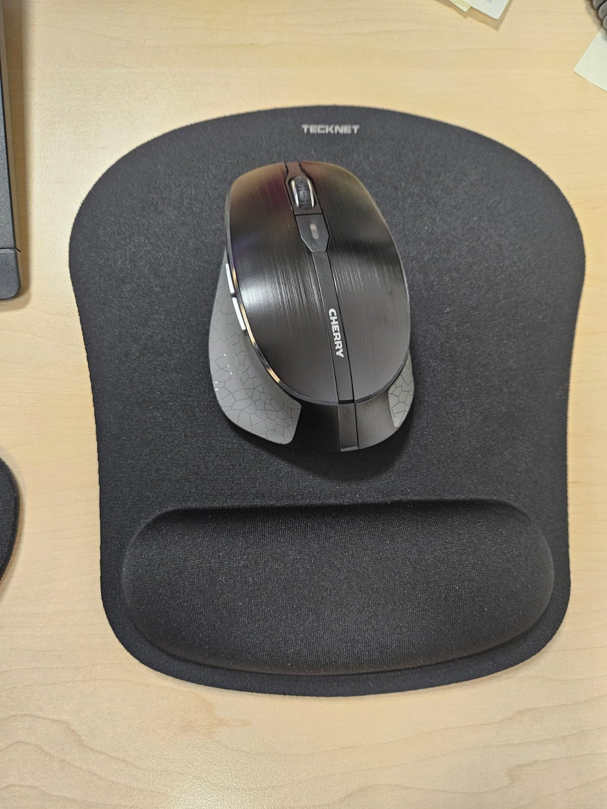 Solide Maus