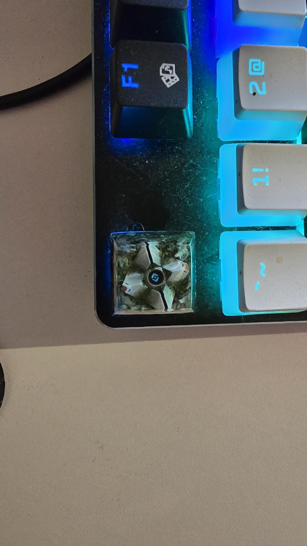 Ein Must-have für Destiny-Fans