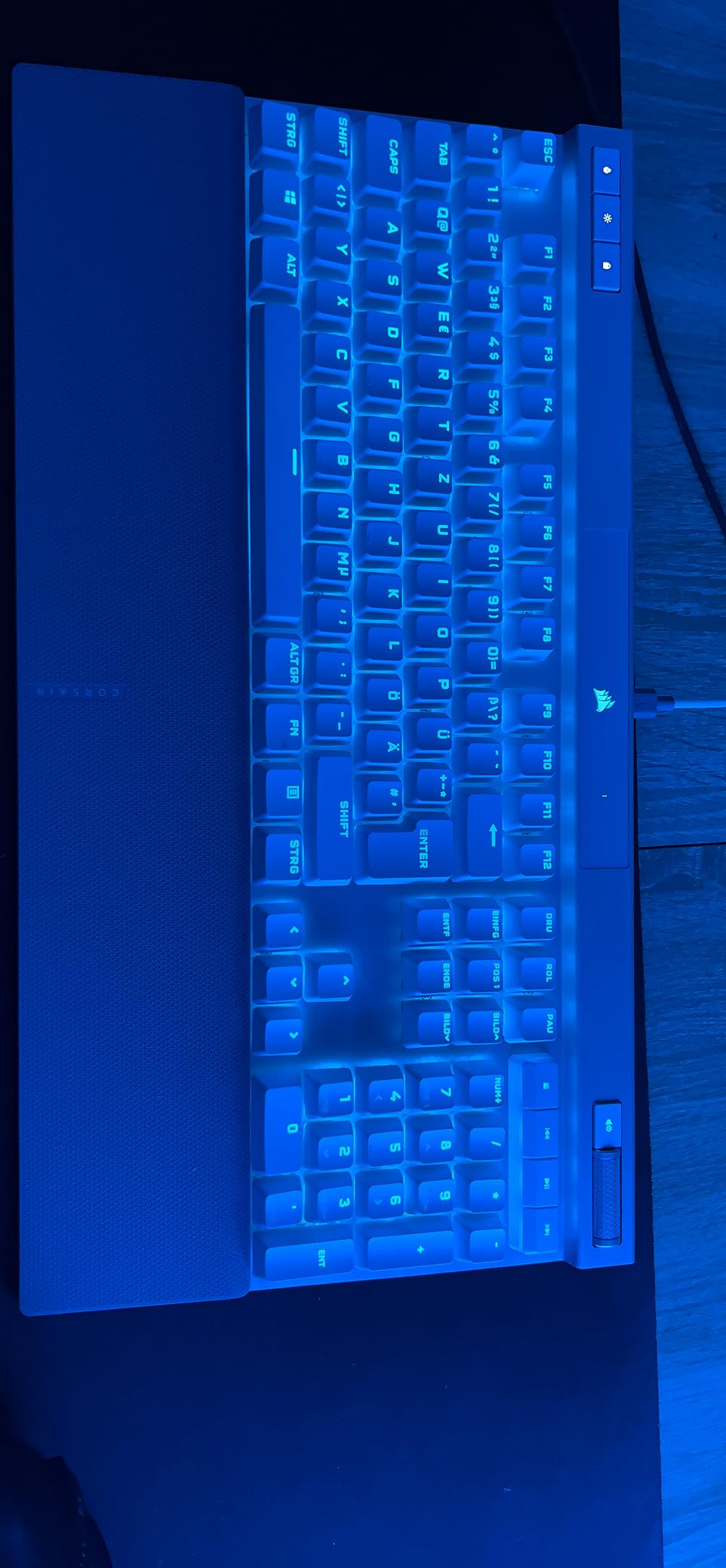 Perfekt für Gamer