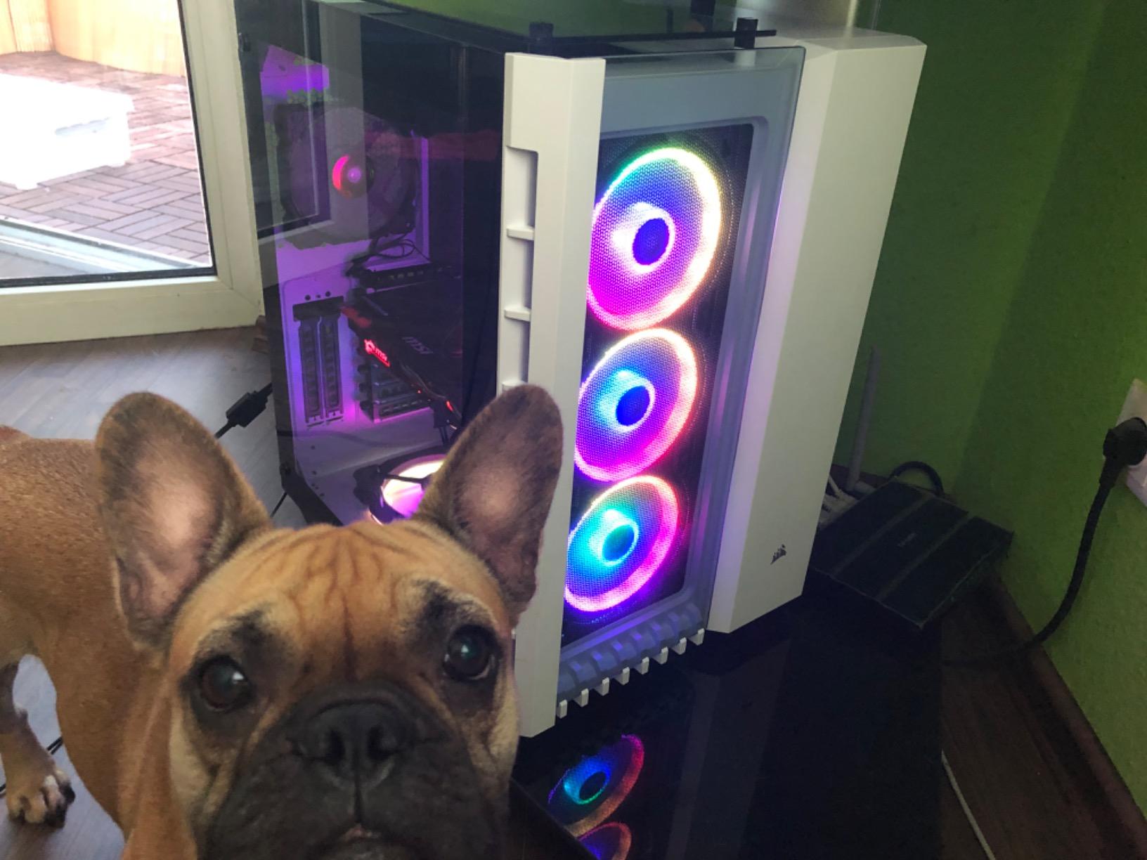 Perfekte RGB-Lüfter für meinen pc